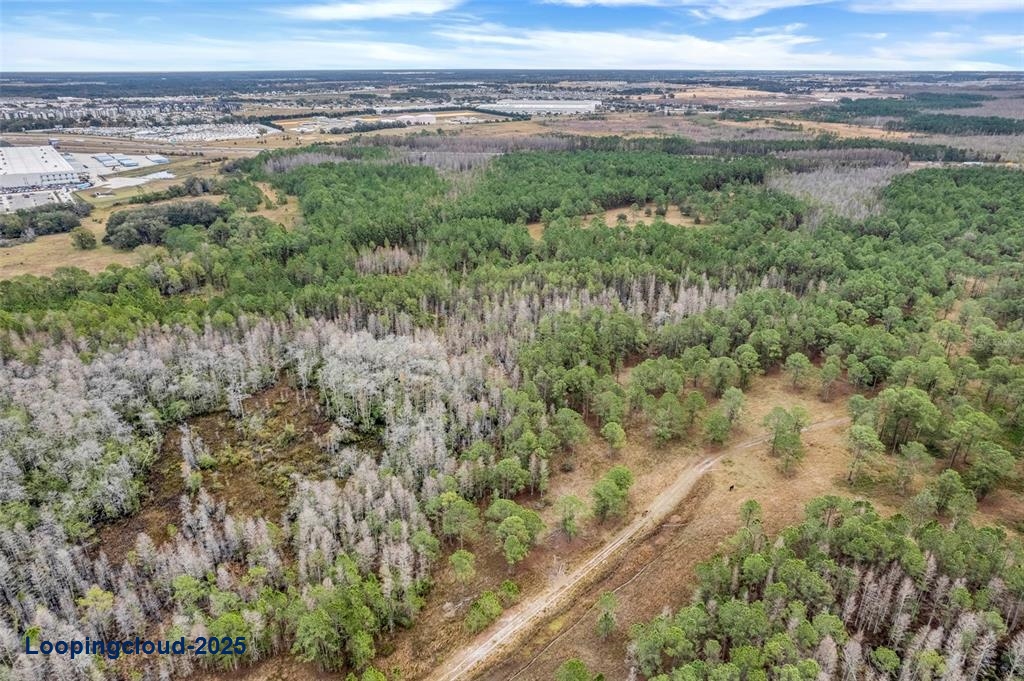 Lot For Sale at POLK CITY