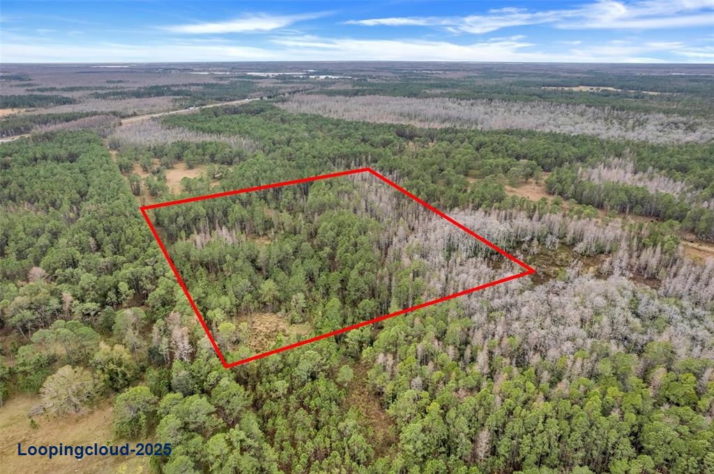 Lot For Sale at POLK CITY