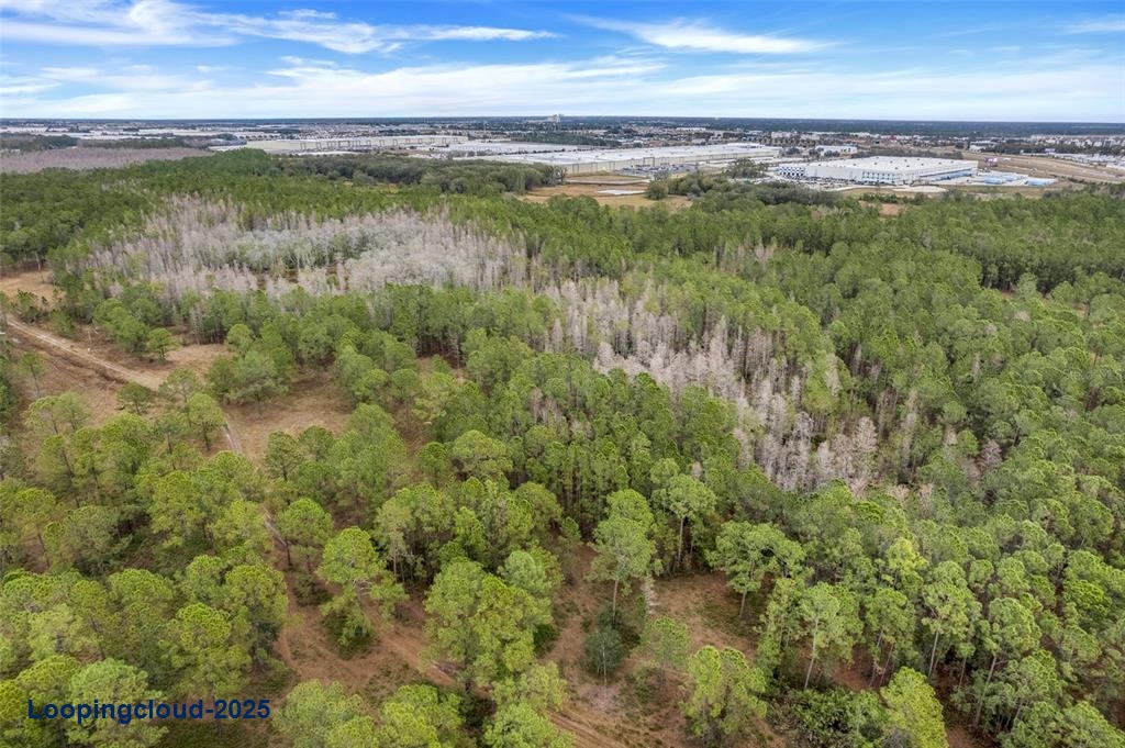 Lot For Sale at POLK CITY