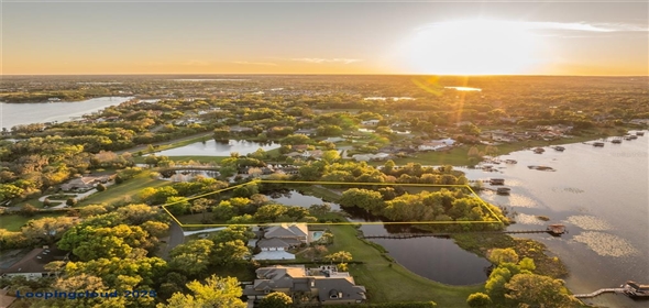 2938 SUNBITTERN COURT Windermere Florida, 34786 | Lakefront Lot at WINDERMERE - MLS O6293227