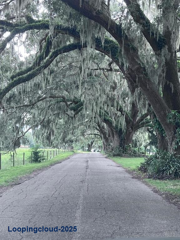 Single Family Residence 3 Bedrooms 2244SqFt at OXFORD