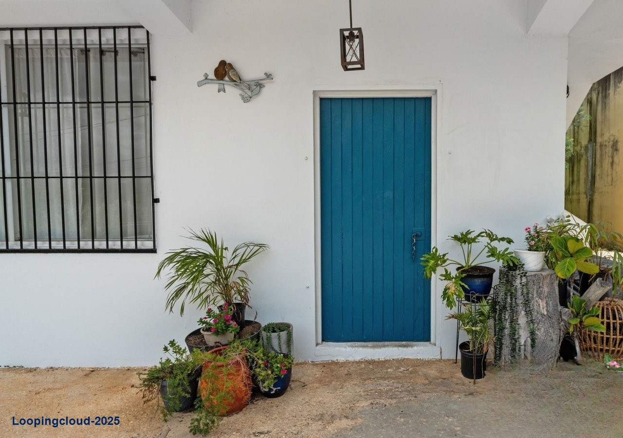 Commercial Property for Sale in Aguadilla Puerto Rico 00602