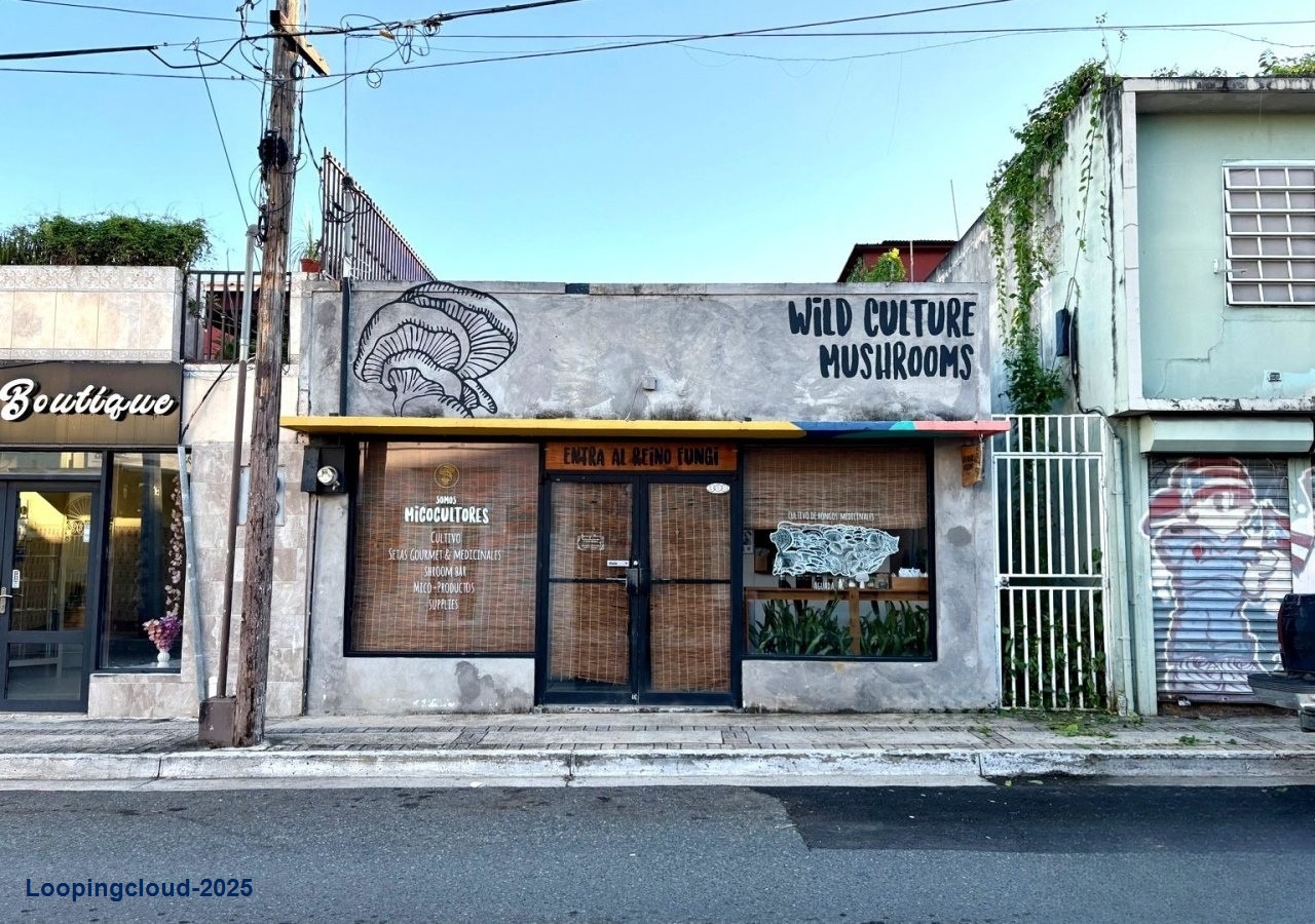 Commercial Property for Sale in Aguadilla Puerto Rico 00602