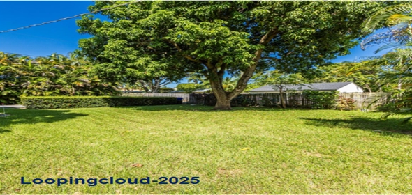 1431 Wiley St HOLLYWOOD Hollywood Florida, 33020 | Beautiful Single Family