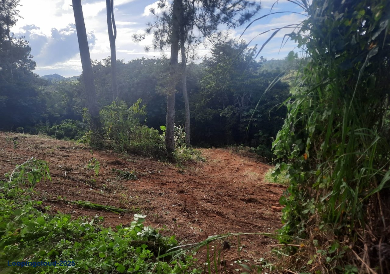 Commercial Property for Sale in Aguadilla Puerto Rico 00676
