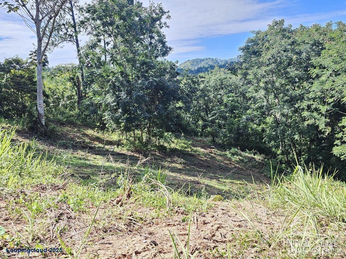 Commercial Property for Sale in Aguadilla Puerto Rico 00676