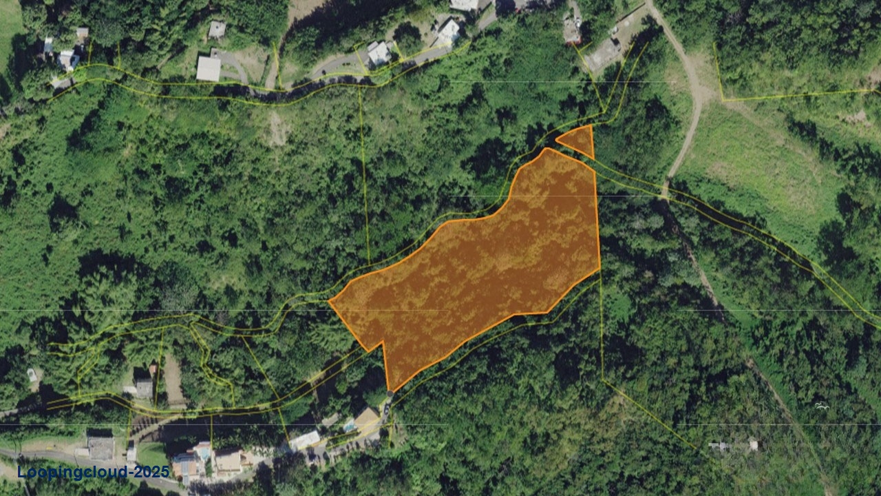 Commercial Property for Sale in Rincon Puerto Rico 00677