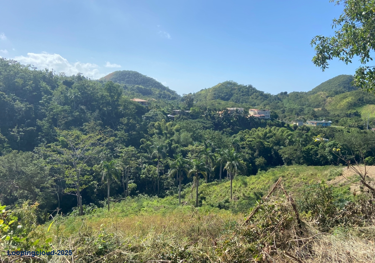 Commercial Property for Sale in Rincon Puerto Rico 00677