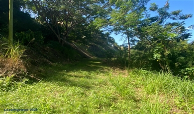 Bo. Calvache-Carr 115 KM 8 H6, Rincon Puerto Rico , 00677