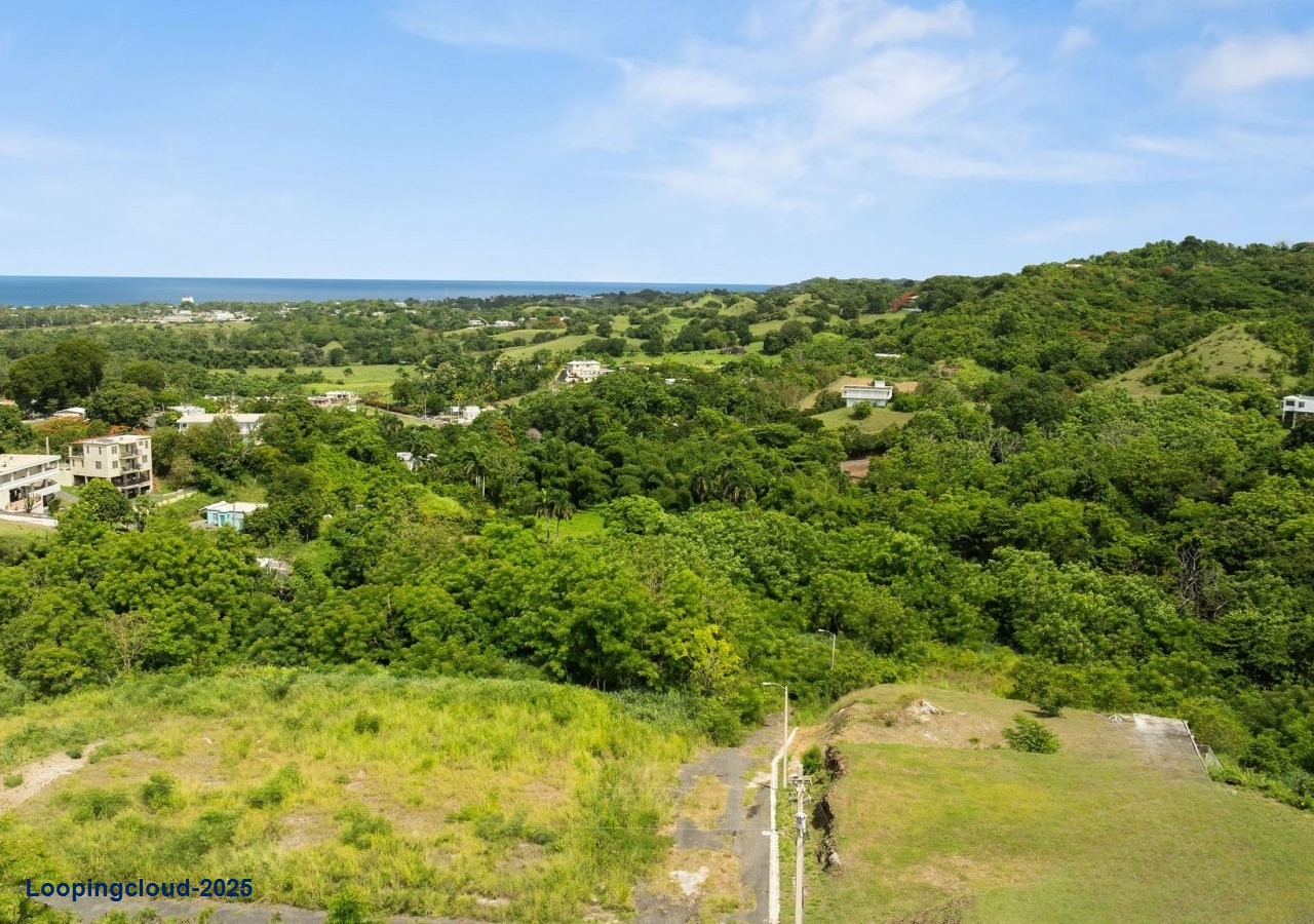 60879, 845 Square Meters of Potential in Bo Calvache Rincon
