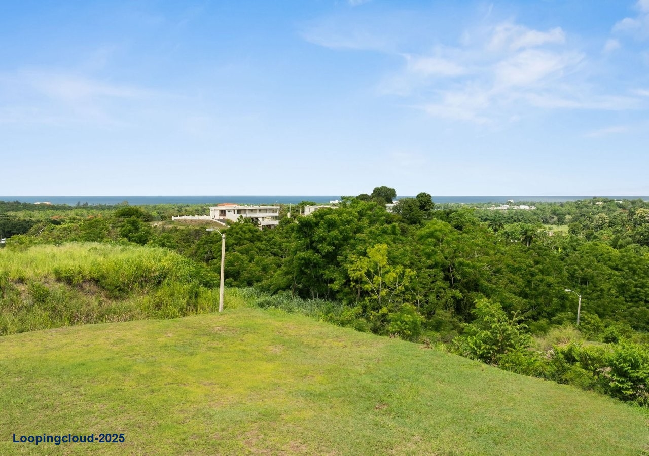 60879, 845 Square Meters of Potential in Bo Calvache Rincon
