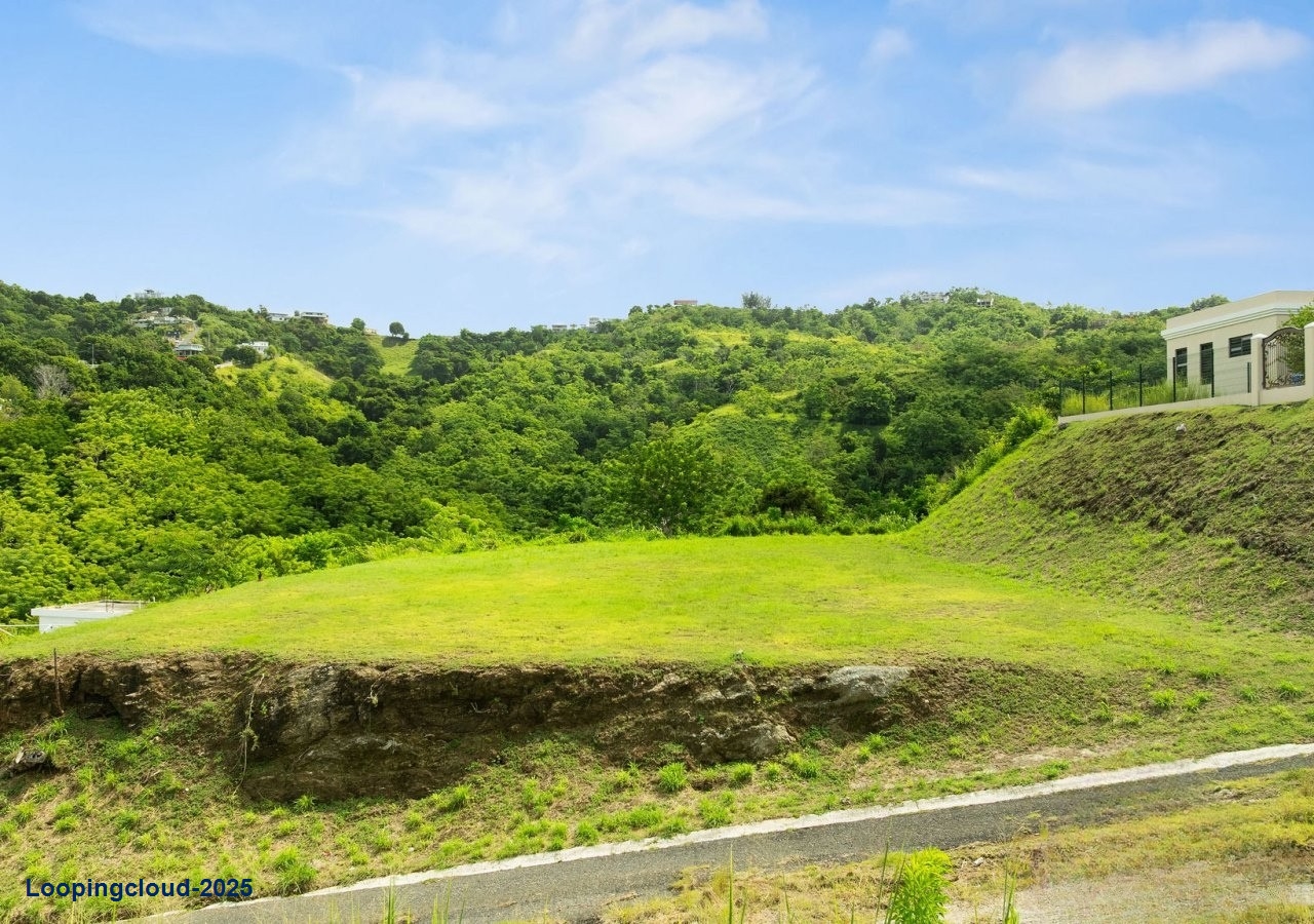 60879, 845 Square Meters of Potential in Bo Calvache Rincon