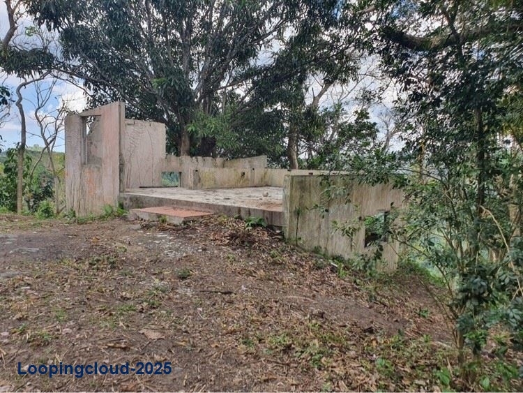 Retail Property for Sale in BUCARABONES WARD Puerto Rico 00670