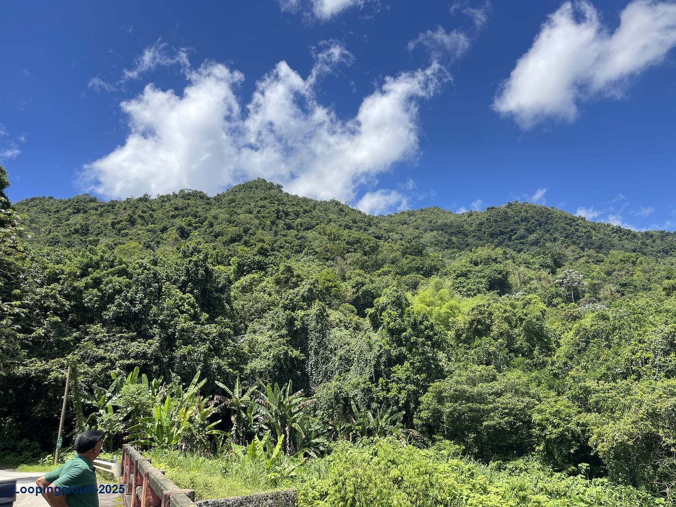 Land for Sale in Aguadilla Puerto Rico 00601