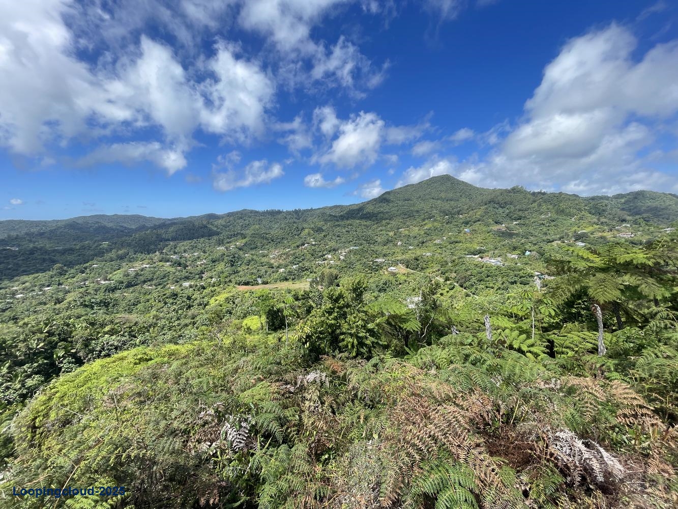 Land for Sale in Aguadilla Puerto Rico 00601