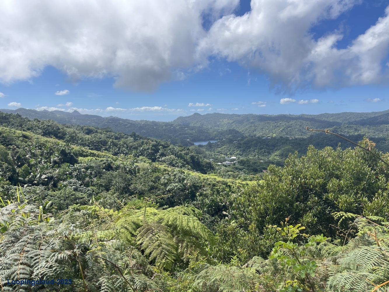 Land for Sale in Aguadilla Puerto Rico 00601