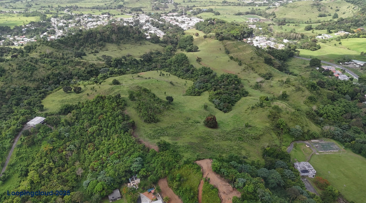 Commercial Property for Sale in Humacao Puerto Rico 00791