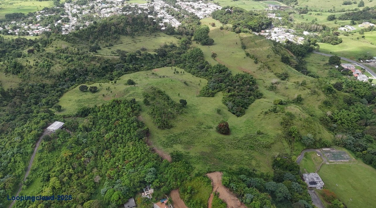 Commercial Property for Sale in Humacao Puerto Rico 00791