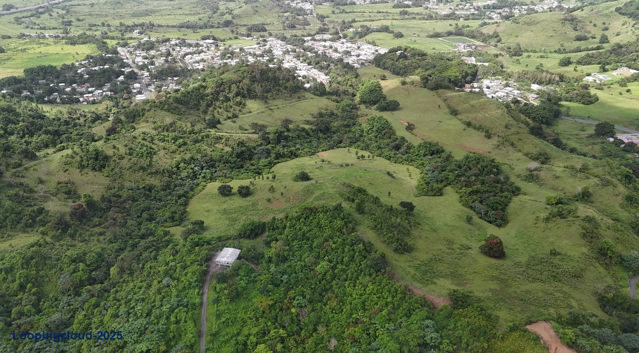 Commercial Property for Sale in Humacao Puerto Rico 00791