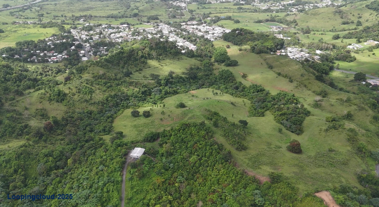Commercial Property for Sale in Humacao Puerto Rico 00791
