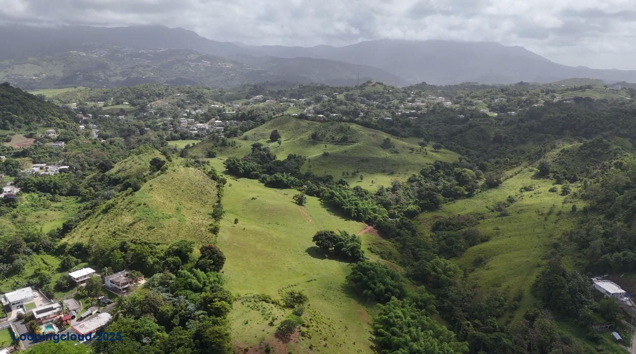 Commercial Property for Sale in Humacao Puerto Rico 00791