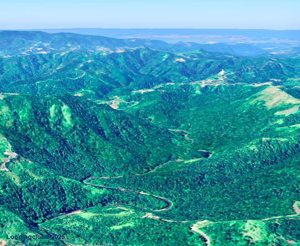 Coffee and Oranges,151 acres plantation