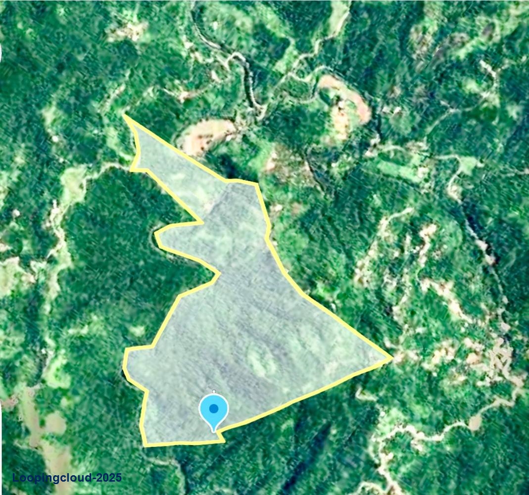 Coffee and Oranges,151 acres plantation