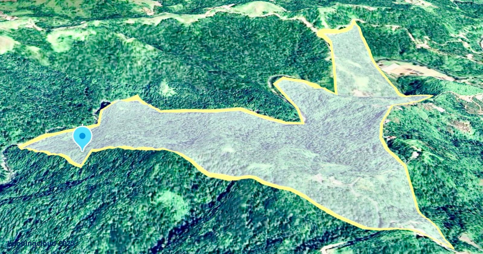 Coffee and Oranges,151 acres plantation