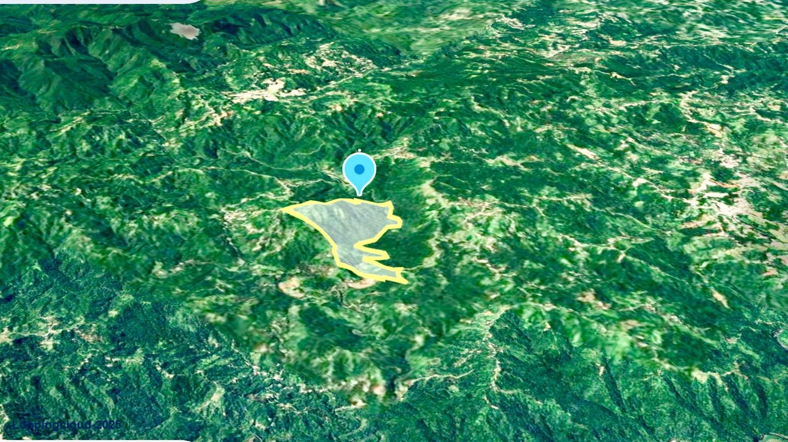 Coffee and Oranges,151 acres plantation