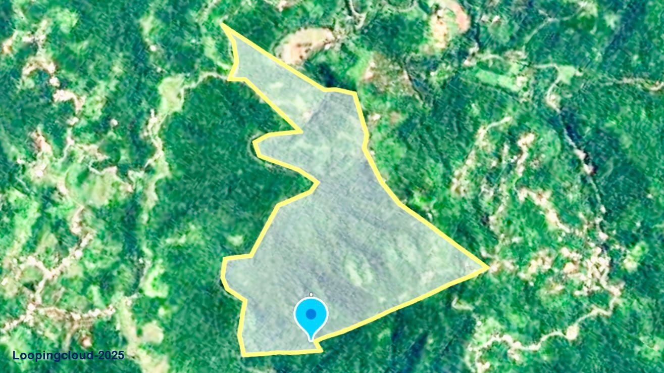 Coffee and Oranges,151 acres plantation