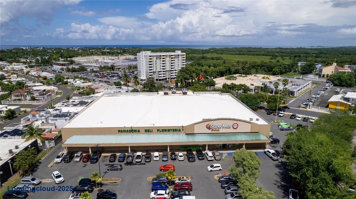 Commercial Property for Sale in KM 8 Pueblo Ward Puerto Rico 00646