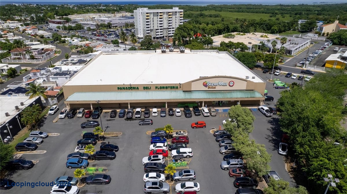 Commercial Property for Sale in KM 8 Pueblo Ward Puerto Rico 00646