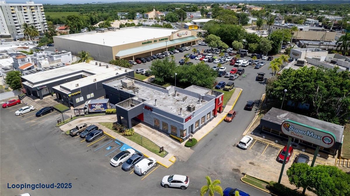 Commercial Property for Sale in KM 8 Pueblo Ward Puerto Rico 00646