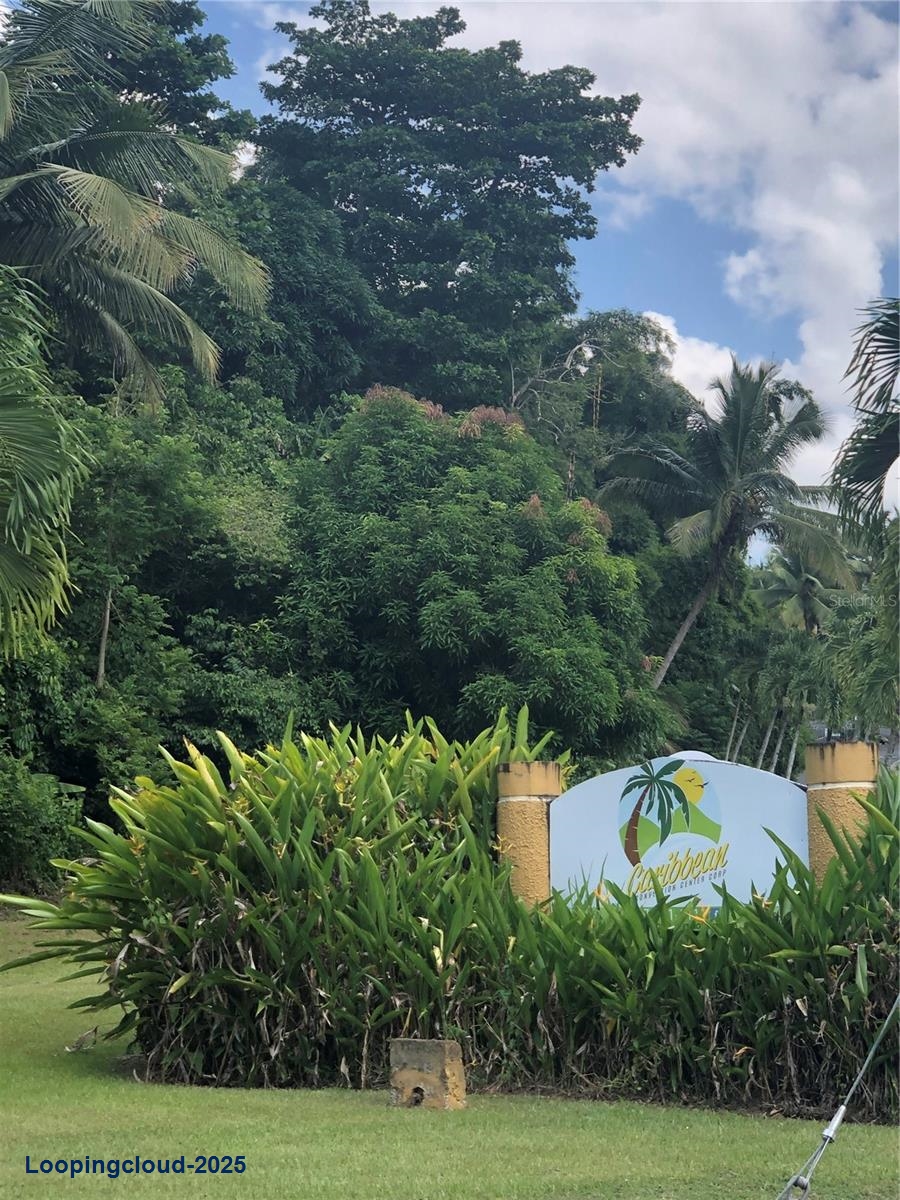 Commercial Property for Sale in KM 21.3 BO. LA MUDA Puerto Rico 00969