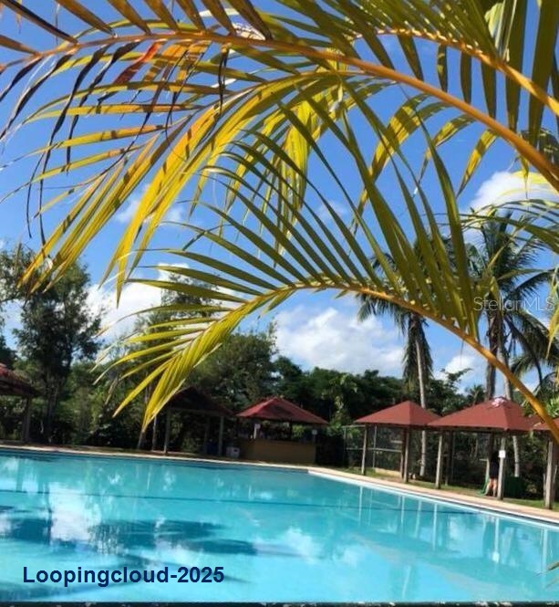 The Earthly Paradise of the Caribbean