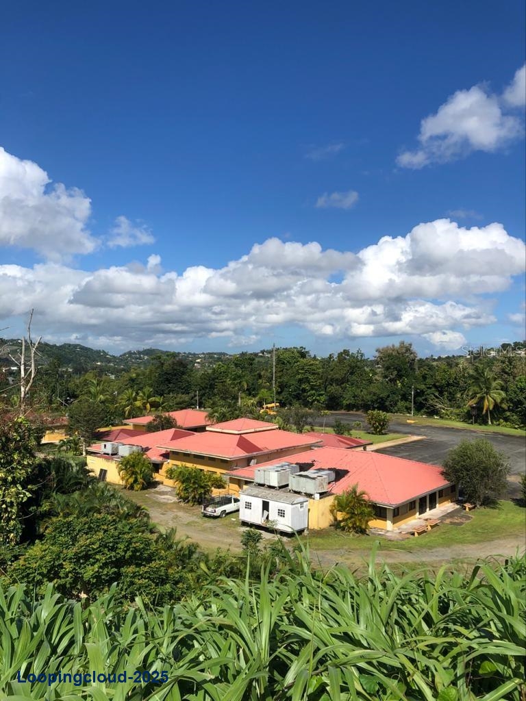 Commercial Property for Sale in KM 21.3 BO. LA MUDA Puerto Rico 00969