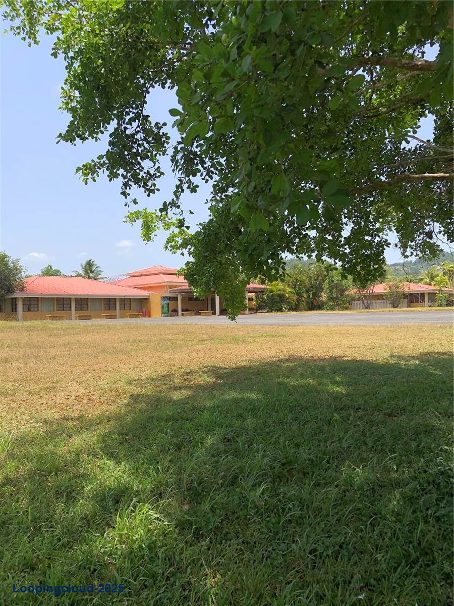 Commercial Property for Sale in KM 21.3 BO. LA MUDA Puerto Rico 00969