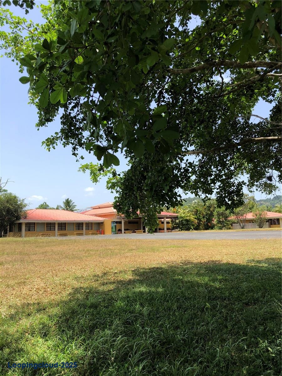 Commercial Property for Sale in KM 21.3 BO. LA MUDA Puerto Rico 00969
