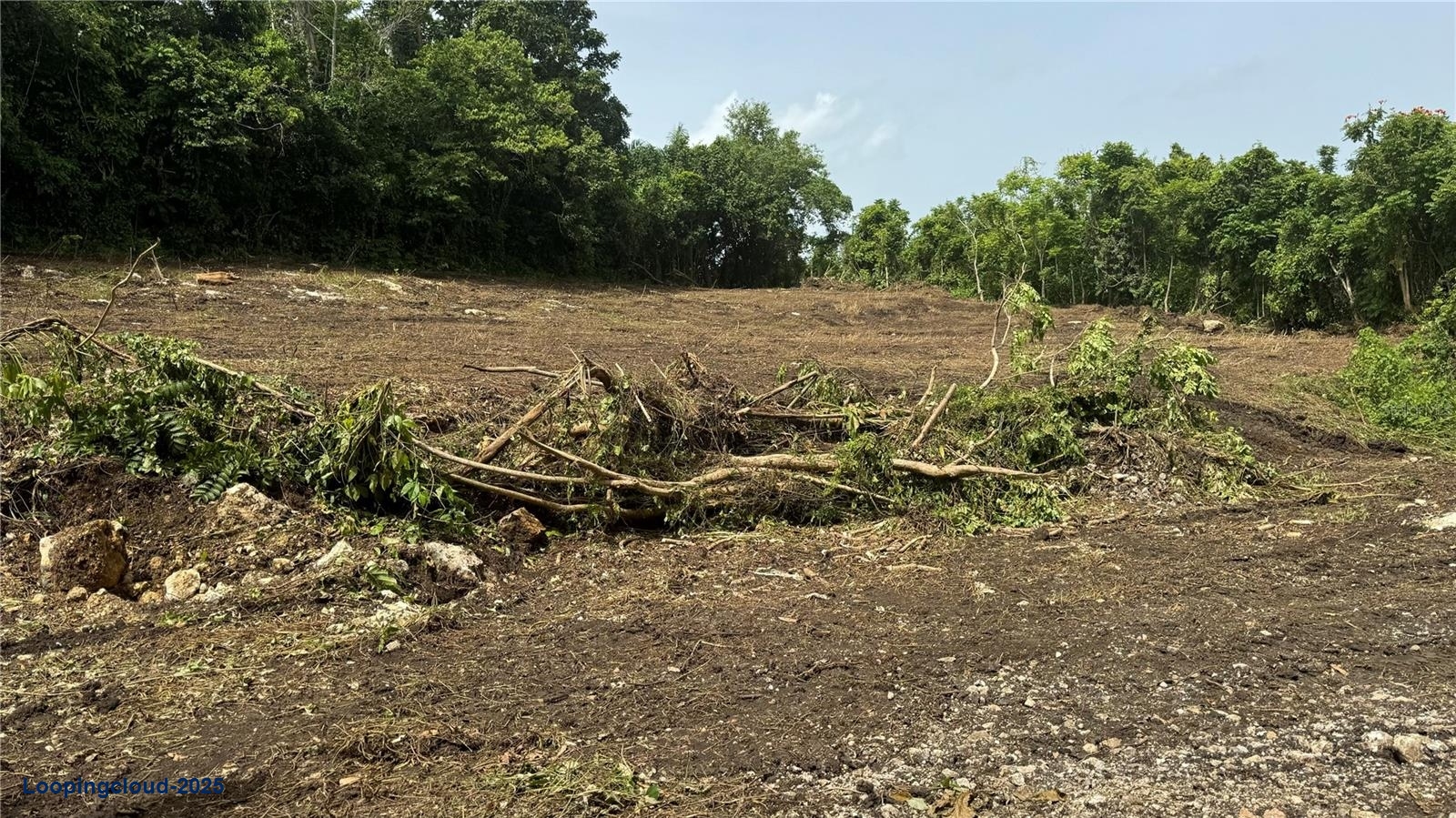 Commercial Property for Sale in San Sebastian Puerto Rico 00685