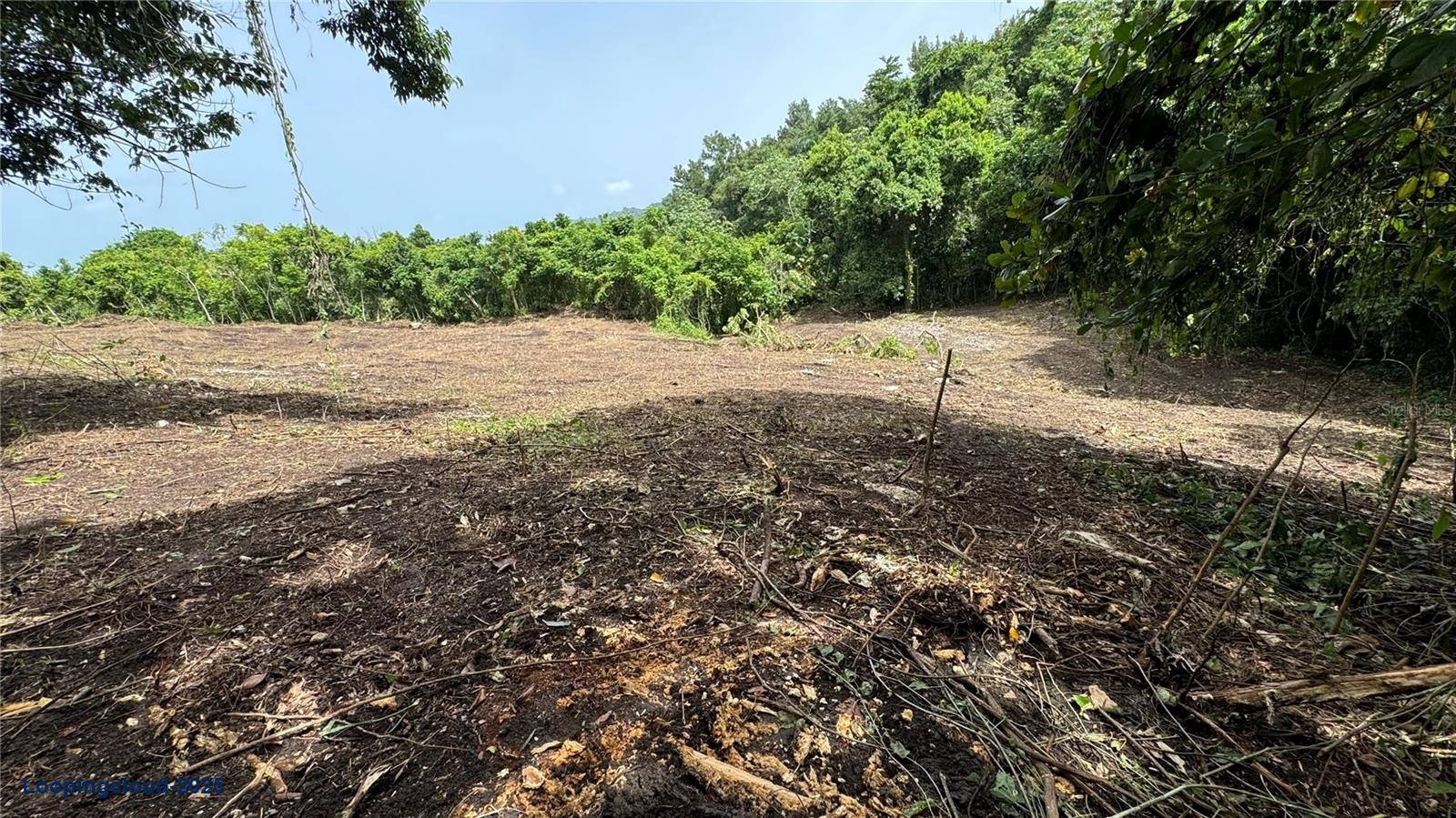 Commercial Property for Sale in San Sebastian Puerto Rico 00685