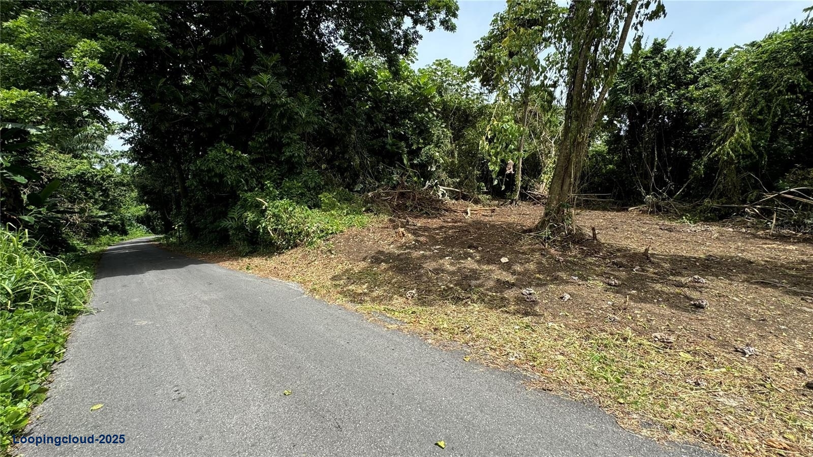 Commercial Property for Sale in San Sebastian Puerto Rico 00685