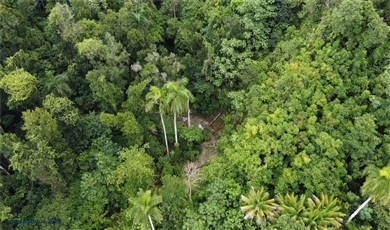 Commercial Property for Sale in San Sebastian Puerto Rico 00685