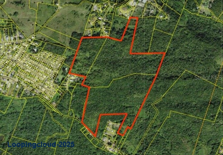 Commercial Property for Sale in San Sebastian Puerto Rico 00685