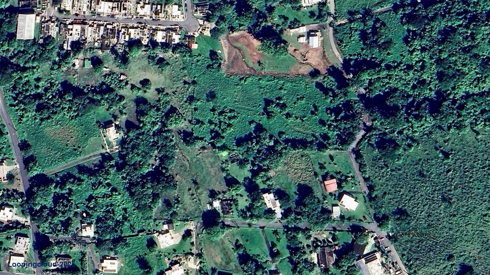 Commercial Property for Sale in Rio Grande Puerto Rico 00721