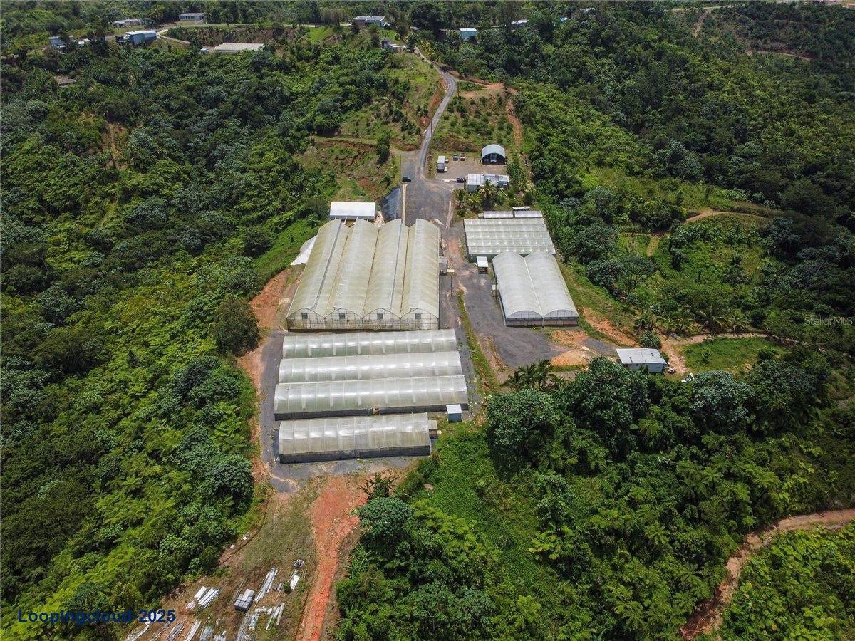 Commercial Property for Sale in Aguadilla Puerto Rico 00669