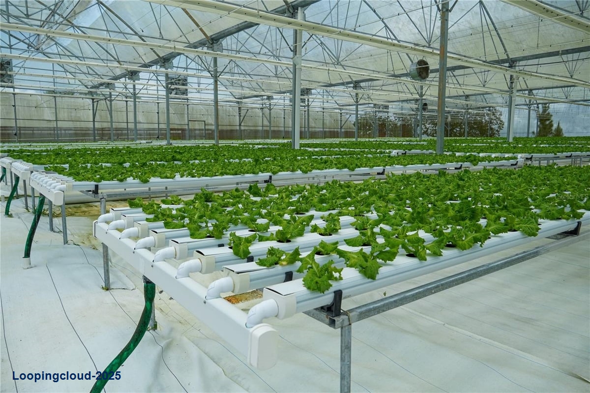 Turnkey Agricultural Investment in Lares