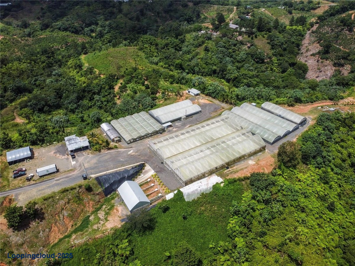 Commercial Property for Sale in Aguadilla Puerto Rico 00669
