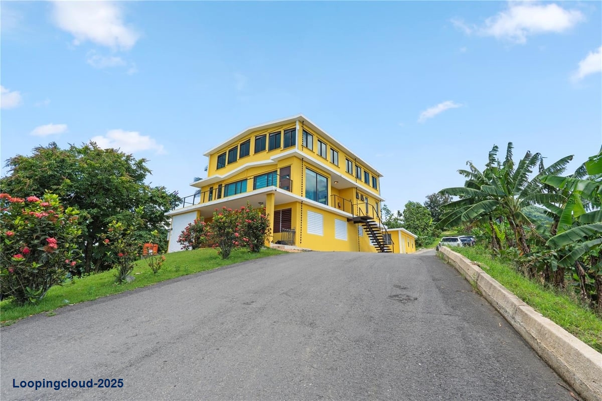 Finca Hoyos Planes: Fully Operational Coffee Estate in Puerto Rico