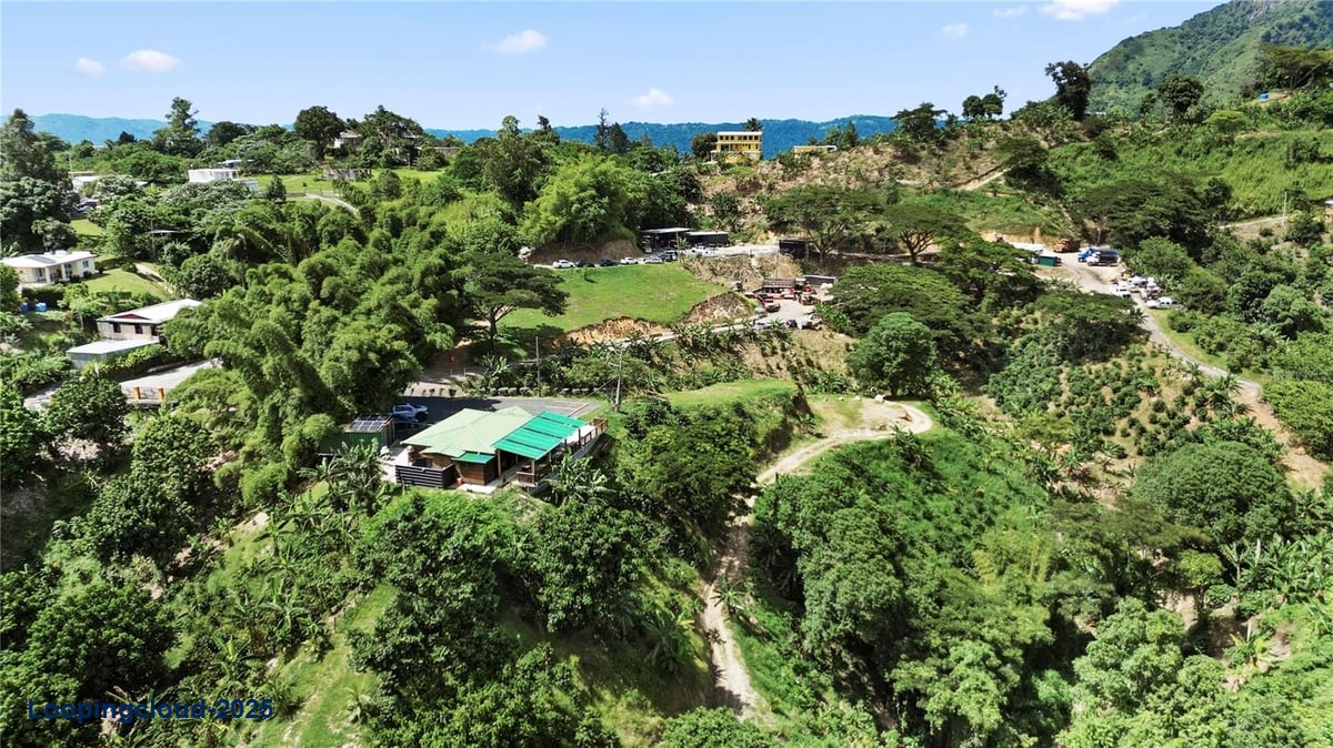 Finca Hoyos Planes: Fully Operational Coffee Estate in Puerto Rico