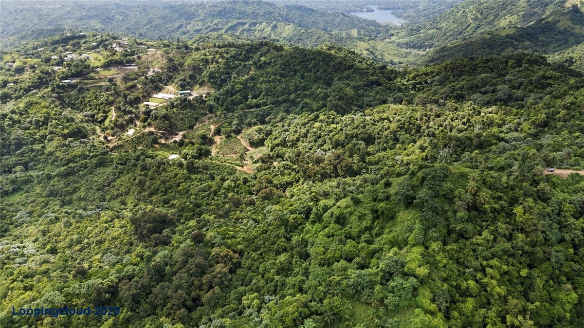 Land for Sale in Adjuntas Puerto Rico 00664